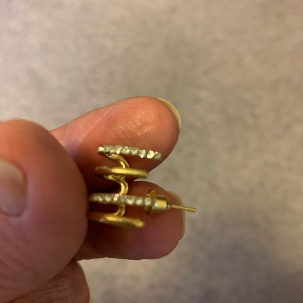 Beautiful earring